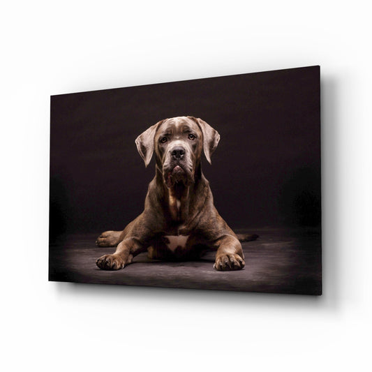 Insigneart USA Insigneart USA Dog Glass Wall Art