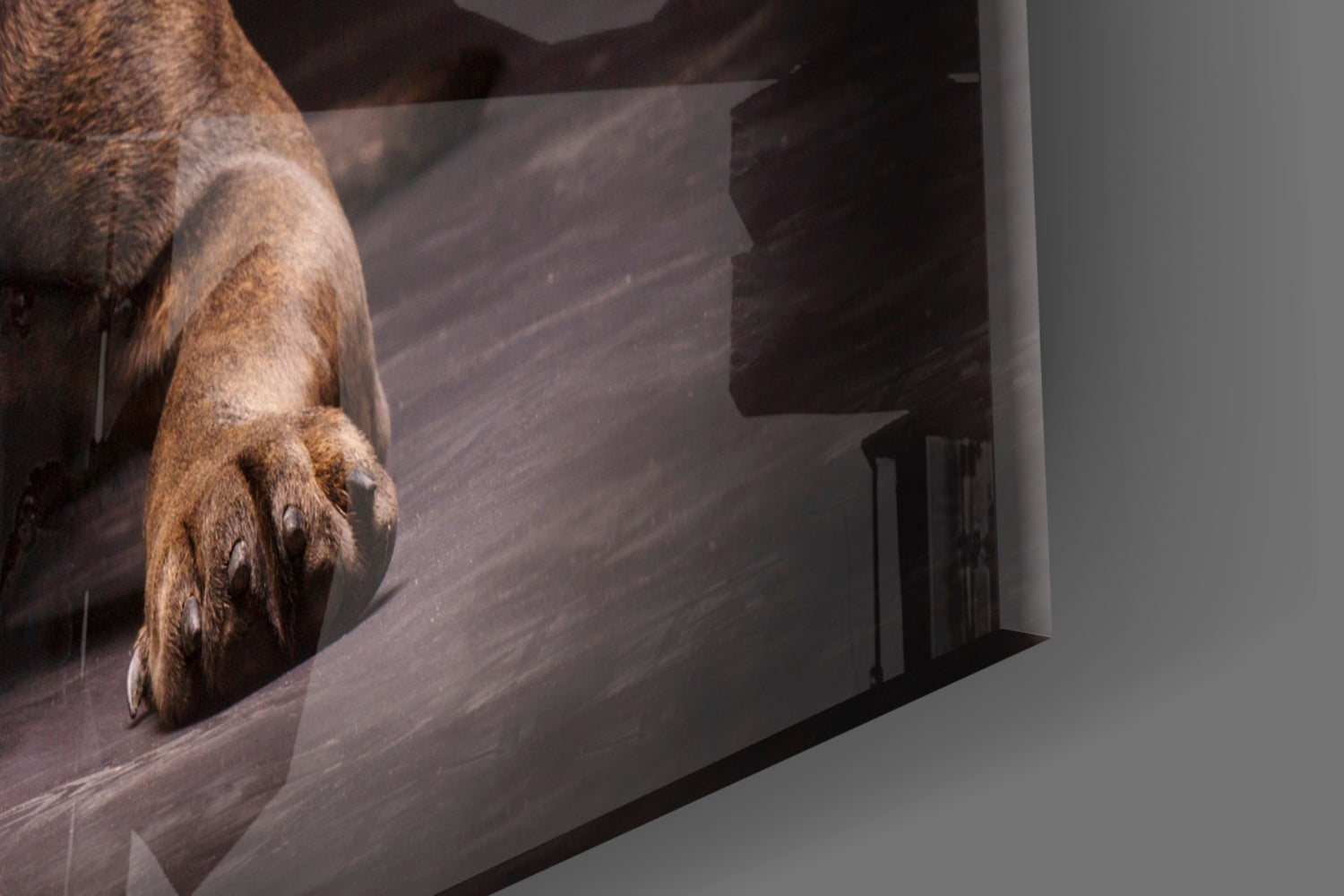 Insigneart USA Insigneart USA Dog Glass Wall Art