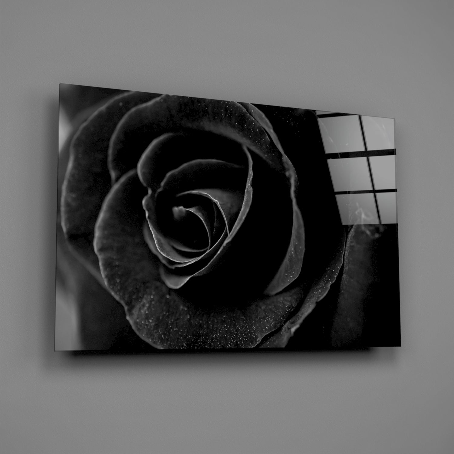 Insigneart USA Insigneart USA Black Rose Glass Wall Art