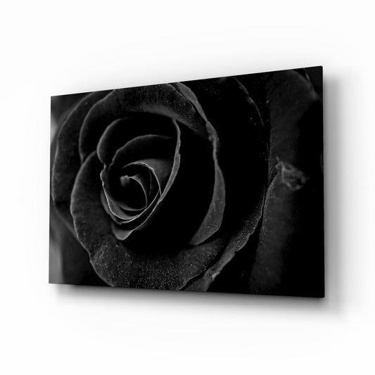 Insigneart USA Insigneart USA Black Rose Glass Wall Art