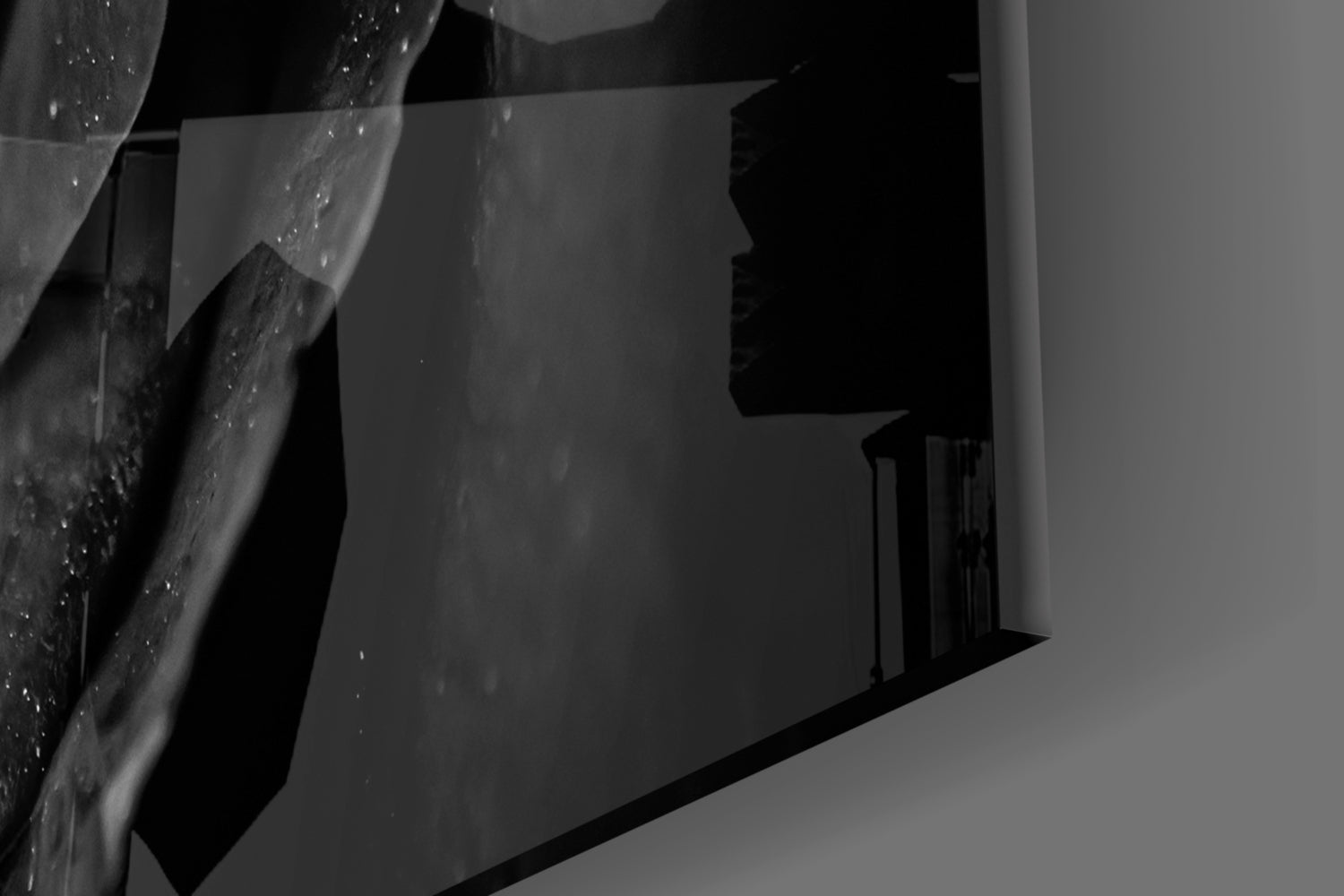 Insigneart USA Insigneart USA Black Rose Glass Wall Art