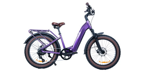 Bliss Magnum Bikes Online