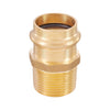 1" Copper Press x 1" Male Brass Adapter (Lead Free)