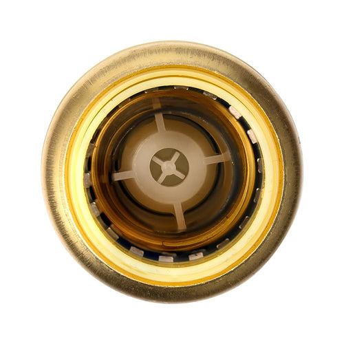 1" Push Fit Check Valve