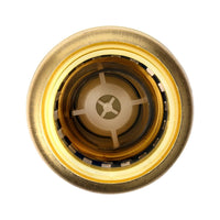 3/4" Push Fit Check Valve