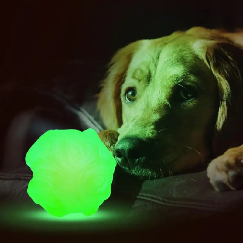 Cat Toys Ball Dog Glowing Bouncing Interactive Rolling Balls Interactive Dog Toy Ball Chew Toys For Puppy Cats Dogs
