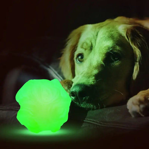 Cat Toys Ball Dog Glowing Bouncing Interactive Rolling Balls Interactive Dog Toy Ball Chew Toys For Puppy Cats Dogs