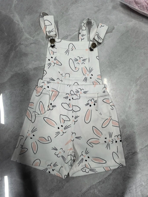 Toddler Girl Sleeveless Denim Overalls with Ruffle Straps and Floral Embroidery Cute Jumpsuit for Baby Girls