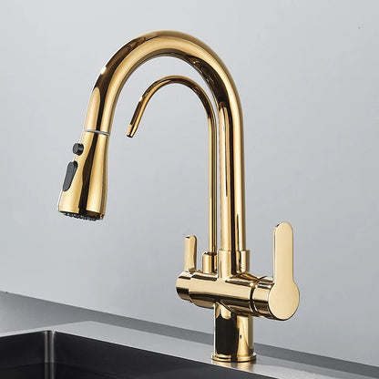 Quyanre Matte Black Filtered Crane For Kitchen Pull Out Spray 360 Rotation Water Filter Tap Three Ways Sink Mixer Kitchen Faucet
