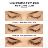 1pcs Nourishing Eyelash and Eyebrow Enhancer Serum  Natural Ingredients for Longer Fuller Thicker Eyebrows eyelash makeup