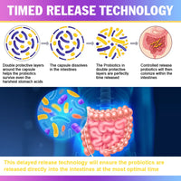 Probiotic Supplement, 120 Billion CFU, with Prebiotics and Digestive Enzymes to Support Gut Digestion and Immune Health