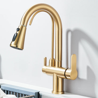 Quyanre Matte Black Filtered Crane For Kitchen Pull Out Spray 360 Rotation Water Filter Tap Three Ways Sink Mixer Kitchen Faucet