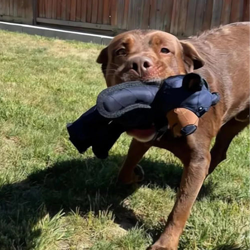 Squeaky Plush Bear Toy for Dog Unbreakable Teddy Extreme Bear Dog Toys Puppy Biting Toys Plush Cute Bear chew Squeaky Dog Toys