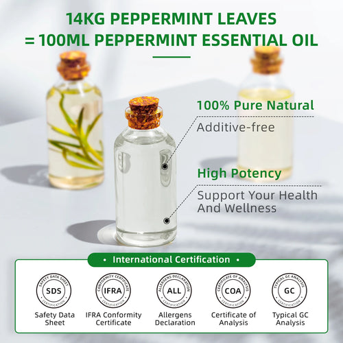 HIQILI 100ml Peppermint Sandalwood Eucalyptus Lemon Essential Oil for Diffuser, Humidifier, Aromatherapy, Candle Making, Massage