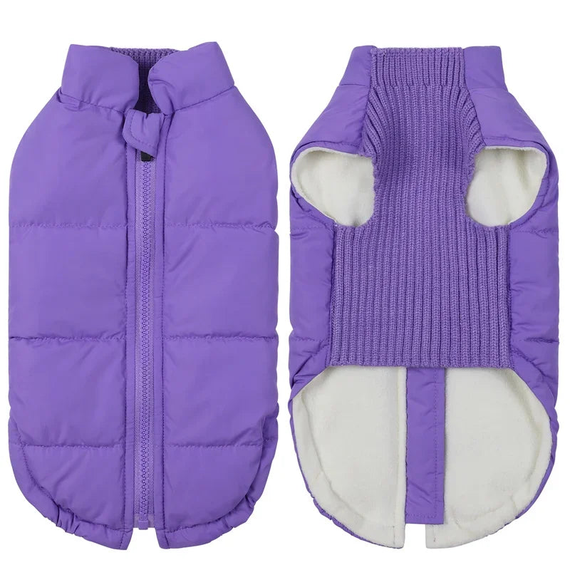 Winter Pet Dog Warm Cotton Coats Back Zipper Windproof Thickness Clothes for Small Medium Dogs Chihuahua French Bulldog Outfits