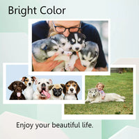 NEW 4PK 952XL Ink Cartridge for HP 952 XL Officejet Pro 8210 8715 8702 8734 8745