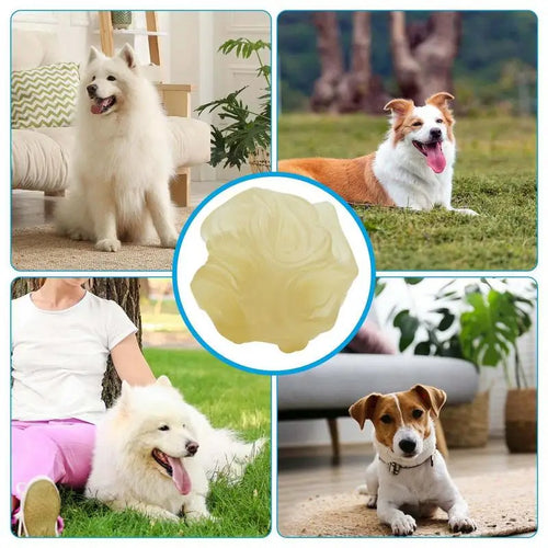 Cat Toys Ball Dog Glowing Bouncing Interactive Rolling Balls Interactive Dog Toy Ball Chew Toys For Puppy Cats Dogs