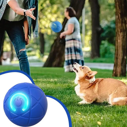 Active Rolling Ball for Dogs USB Interactive Dog Ball Toy Automatic Rechargeable Dog Interactive Toys Dog Ball with LED Light