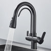 Quyanre Matte Black Filtered Crane For Kitchen Pull Out Spray 360 Rotation Water Filter Tap Three Ways Sink Mixer Kitchen Faucet EzBuyCo