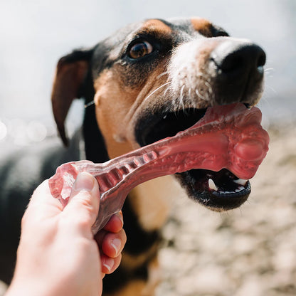 MASBRILL Dog Toys Aggressive Chewers Large Dogs Bone-Shaped Indestructible Dog Toys Nylon Interactive Dog Toys Teeth Cleaning