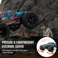 VEVOR 1:14 42KM/H 4WD RC Car with Adjustable Speed Remote Control Off-Road Truck Drift Monster for Kids Boys Hobby Toys Gifts