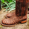 Soto Boots Soto Boots Mens Out of the Wild Cognac Ostrich Print Boots H50031