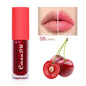 Hydrating Lip Oil-Berry Involved Moisturizing Clear Lip Gloss Plumping Non-Sticky Lip Care High Shine Finish Nourishing Fruit E