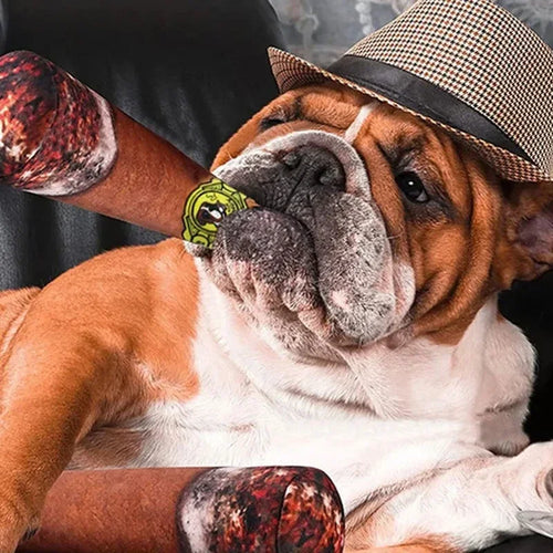 1pcs Pet Squeaky Toy Dog Joke Prank Toys Novelty Fake Cigarettes Cigar Vocalize Gift Funny Toy Dog Plush Toy Pet Training