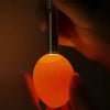 Egg Candler Monitoring Egg Development Egg Candle Incubator Incubator LED Ultra Low Temperature Equipment Hatching Tools