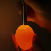 Egg Candler Monitoring Egg Development Egg Candle Incubator Incubator LED Ultra Low Temperature Equipment Hatching Tools