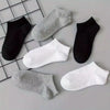 6 Pairs of White, Breathable Sports and Leisure Cotton Socks for Men's Sizes 36 - 42