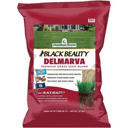 Jonathan Green (10392) Black Beauty Delmarva Grass Seed (Made for Maryland, Delaware, Virginia) - Cool Season Lawn Seed (25 lb)