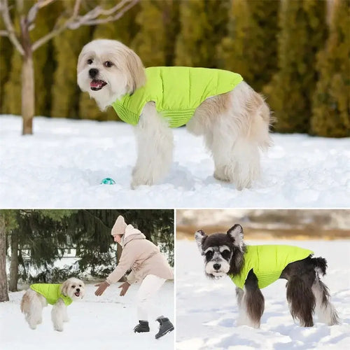 Winter Pet Dog Warm Cotton Coats Back Zipper Windproof Thickness Clothes for Small Medium Dogs Chihuahua French Bulldog Outfits