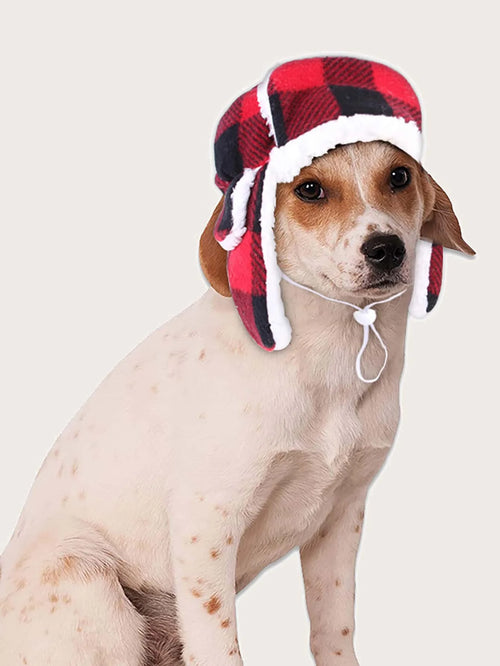 1pc-Make your dog comfortable and fashionable this winter: plaid hat, windproof and warm