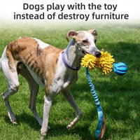 Dog Toy Rope Fun Squeaky Dog Chew Toys Pet Supplies Puppy Rope Toy with Elastic Drawstring Interactive Puppy Teething Toy for