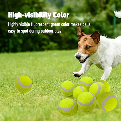 12 packs of small dog tennis balls, pet toys for playing and training