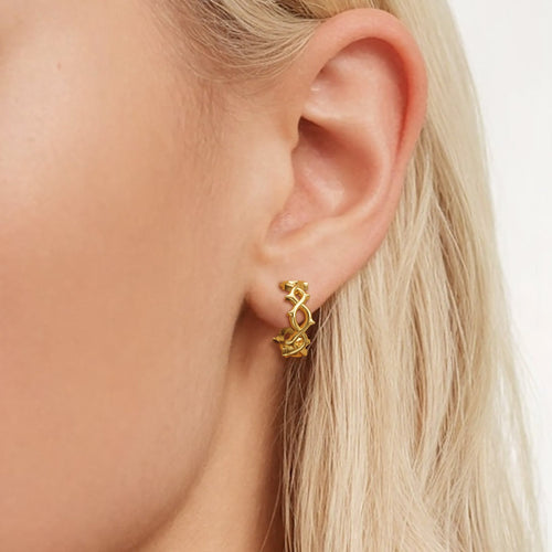 Thorns Hoop Earrings vanimy