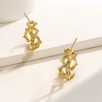 Thorns Hoop Earrings vanimy