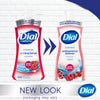 Dial Antibacterial Foaming Hand Wash, Power Berries, 7.5 fl oz EasyOptionXY LLC