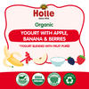 Holle Organic Yogurt Pouches - Apple, Banana & Berries Holle USA
