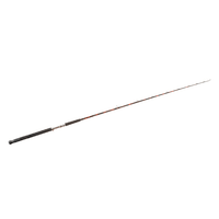 Black Dragon Fire Casting Rod Catfish Pro