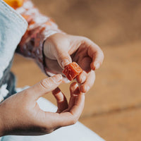 Bloody Shad Catfish Bait Catfish Pro