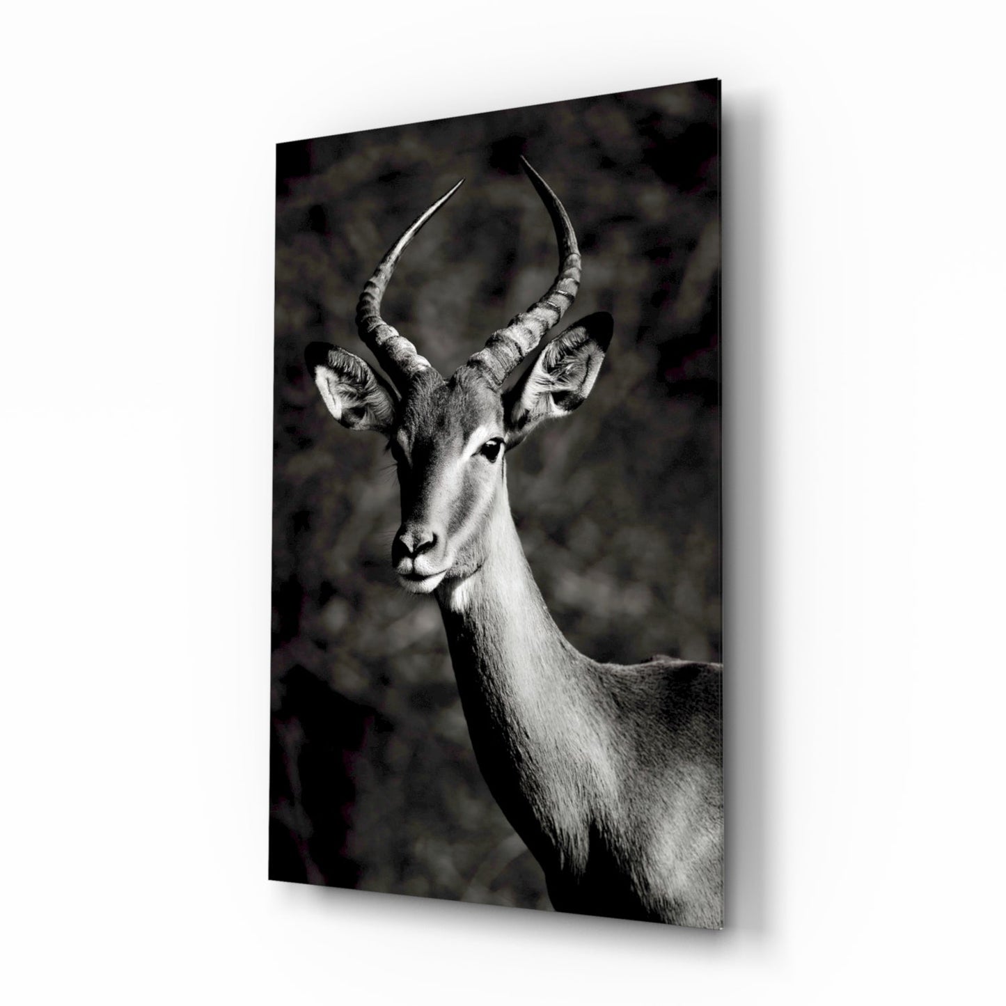 Insigneart USA Insigneart USA Deer Glass Wall Art