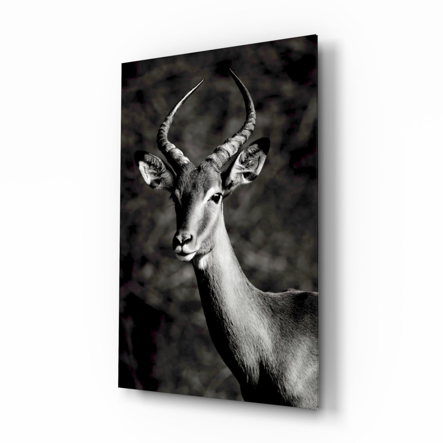 Insigneart USA Insigneart USA Deer Glass Wall Art