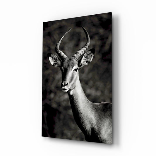Insigneart USA Insigneart USA Deer Glass Wall Art