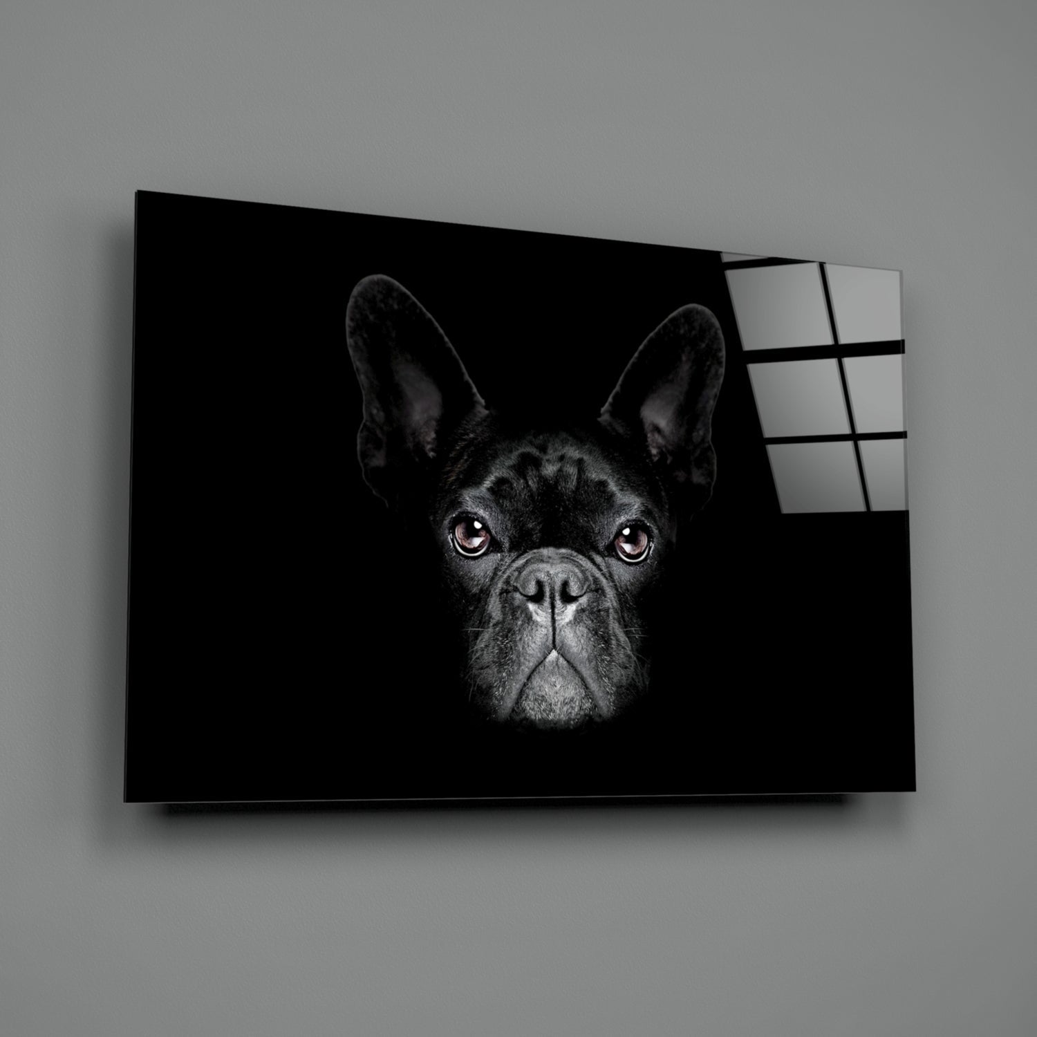 Insigneart USA Insigneart USA Dog Glass Wall Art