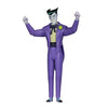 ToyShnip DC The New Batman Adventures Wave 2 6-Inch Scale Action Figure -