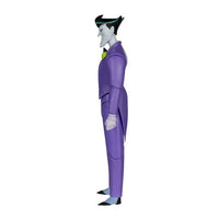 ToyShnip DC The New Batman Adventures Wave 2 6-Inch Scale Action Figure -