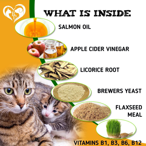 Flea and Tick Prevention Chewable Pills for Dogs and Cats Revolution Oral Flea Treatment for Pets Pest Control Natural Defense Chewables Small Tablets Chicken FLavor for Cats EasyOptionXY LLC