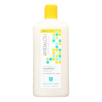 Andalou Naturals Brilliant Shine Shampoo Sunflower And Citrus - 11.5 Fl Oz EasyOptionXY LLC